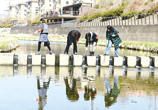 守护河道环境